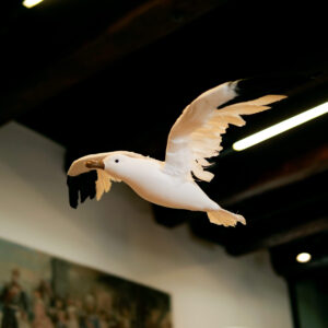 Eine fliegende Möwe über dem Messestand der IBK sorgt für einen dynamischen Blickfang.