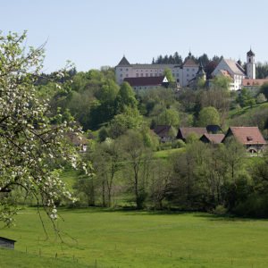 Blick auf das Wolfegger Schloss