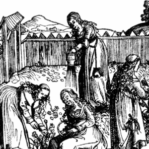 Das Kräutergärtlein Walafried Strabos gilt als Ursprung des Gemüseanbaus auf der Reichenau.