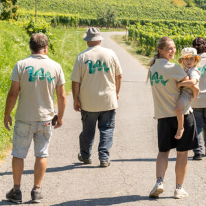 &copy; d-werk GmbH